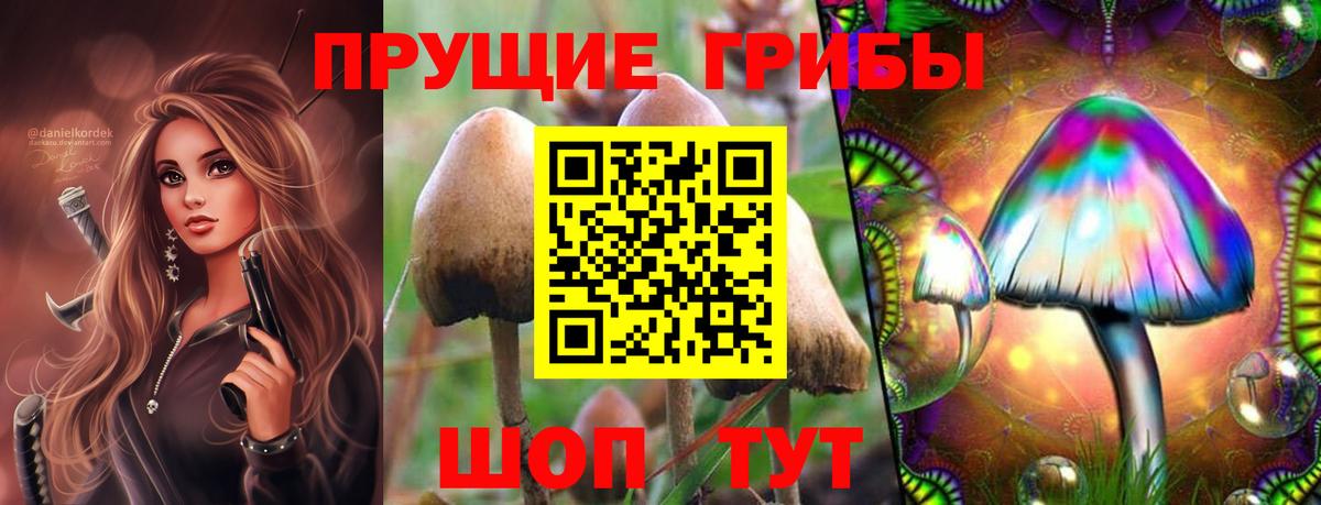 Псилоцибиновые грибы мухоморы  как найти закладки  Псилоцибиновые грибы прущие грибы  Юрга  Вход с VPN 